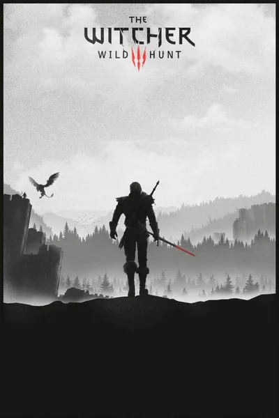Постер The Witcher