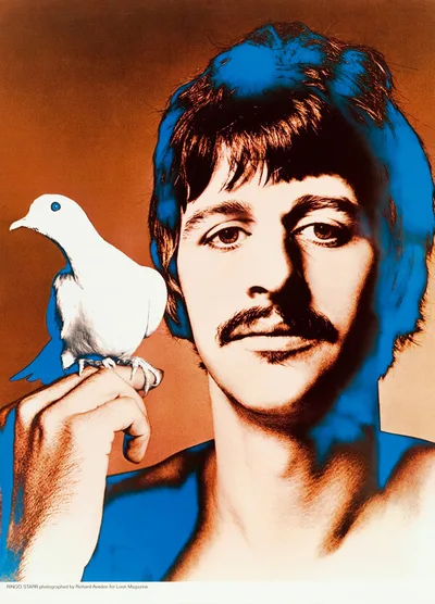 Постер The Beatles