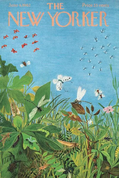 Постер с обложкой The New Yorker 09.06.1962