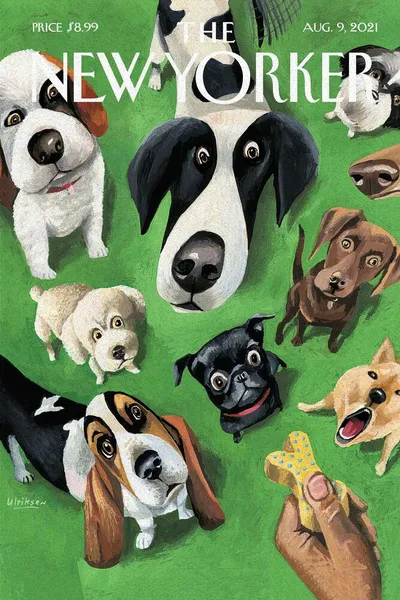 Постер с обложкой The New Yorker 09.08.2021